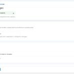 translator3